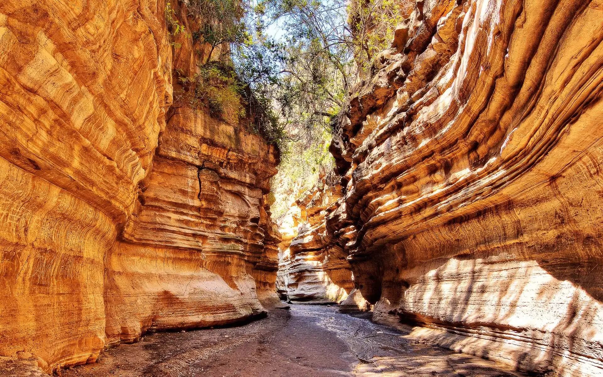Narrow gorge with sculpted orange rock walls