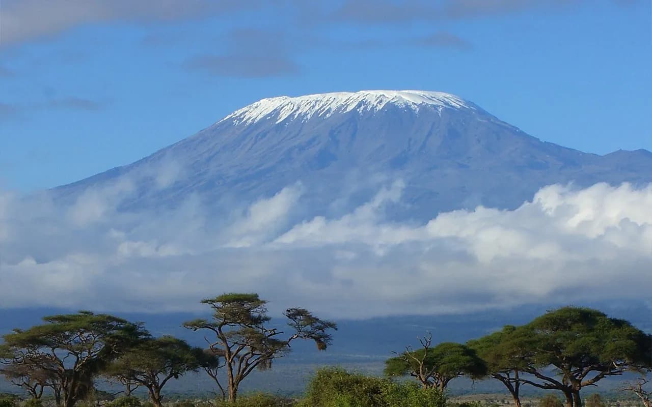 Kilimanjaro's snow-capped summit above acacia woodland