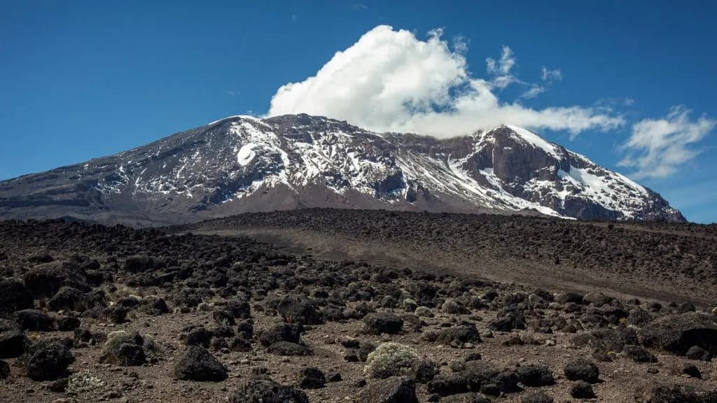 Volcanic lava rock on the Shira Plateau of Kilimanjaro