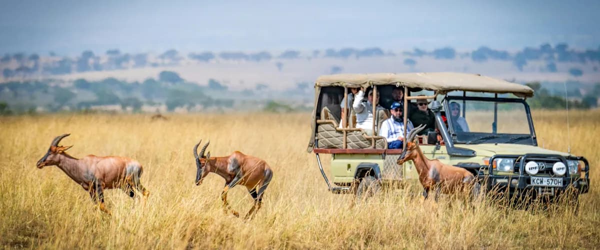 Purpose-built 4×4 Toyota Land Cruiser on a game drive with hartebeest