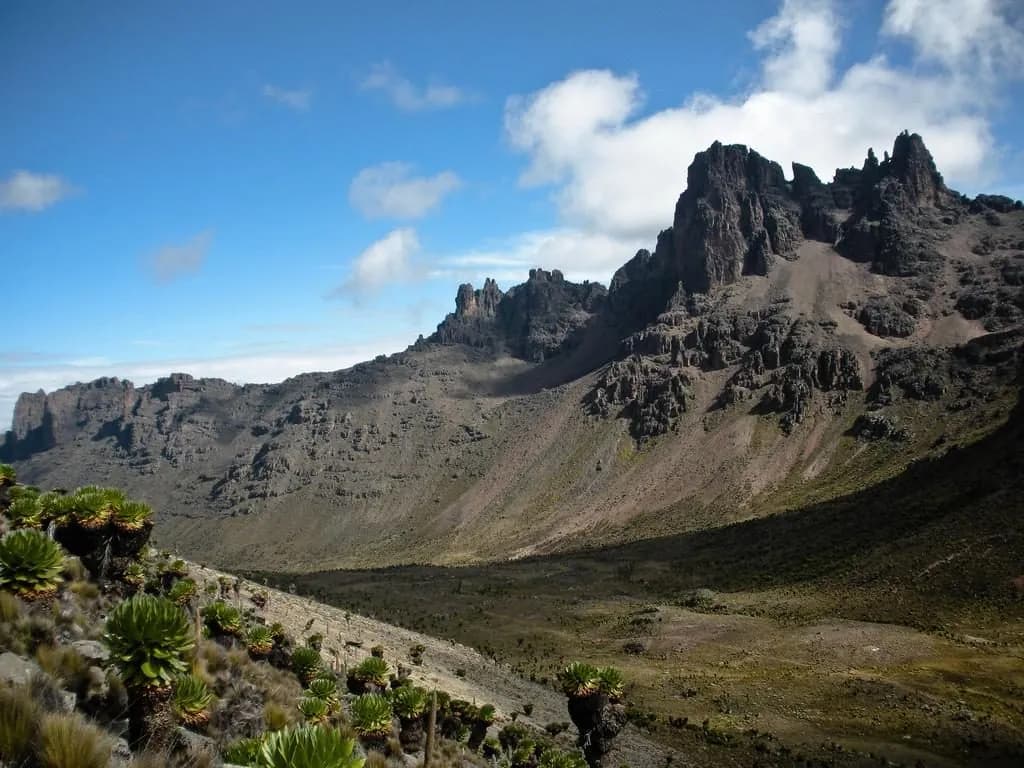 Alpine valley below the rocky peaks of Mount Kenya