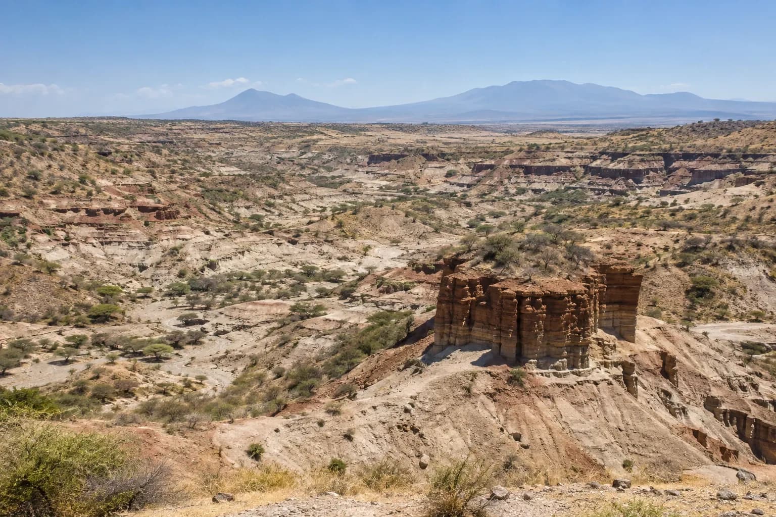 Layered sedimentary walls across Olduvai Gorge in northern Tanzania