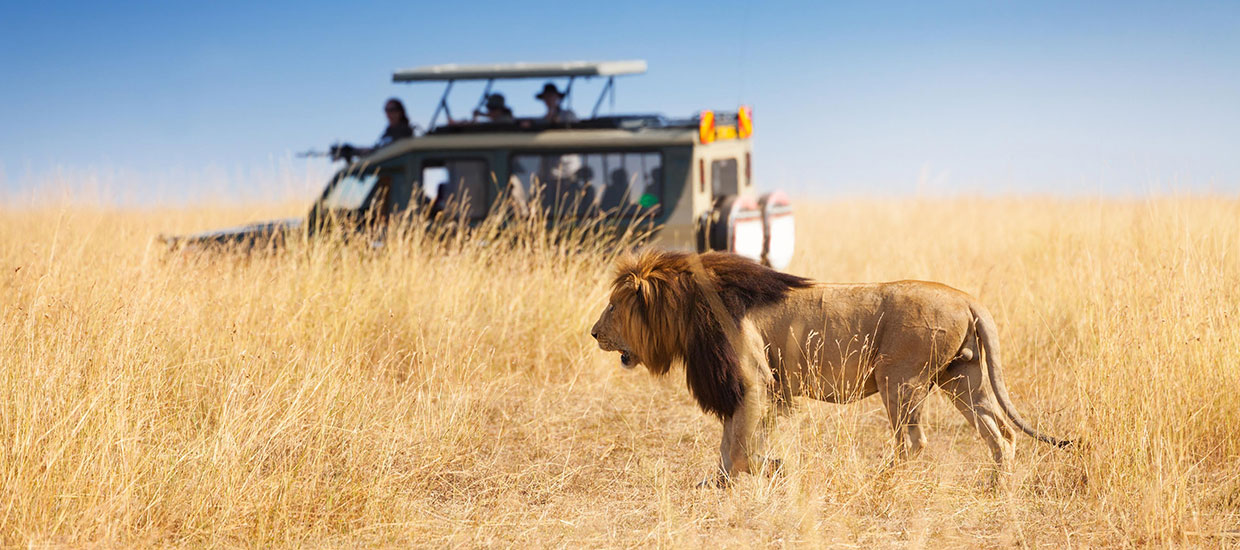 2020 TRAVEL PLANS WITH ABSOLUTE HOLIDAY SAFARIS