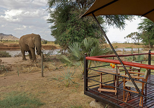 KENYA AANGEPASTE SAFARIS 27 10 Dae Kenya Lodge Safari Samburu National Reserve, Lake Nakuru, Lake Bogoria, Masai Mara, Amboseli National Park and Tsavo west