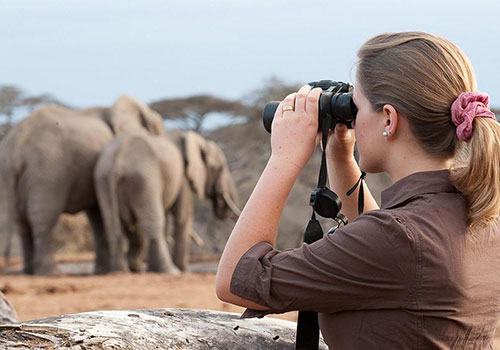 KENYA AANGEPASTE SAFARIS 28 11 Dae Masai Mara, Lake Nakuru, Naivasha-meer, Amboseli, Tsavo-Wes / Tsavo-Oos