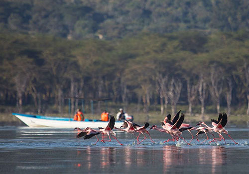 2 Days Lake Nakuru and Lake Naivasha Great Trip