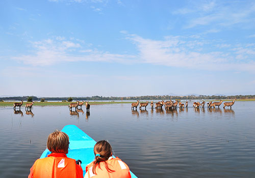 AANVANGENDE GROEPPAKKET SAFARIS KENYA 3 4 Dae Kenya Safari Masai Mara en Naivasha-meer