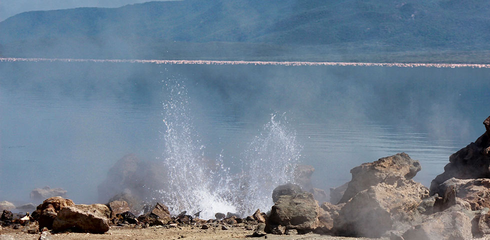 Day Trip to Lake Bogoria National Reserve