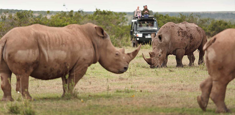 Day Trip to Lake Nakuru National Park