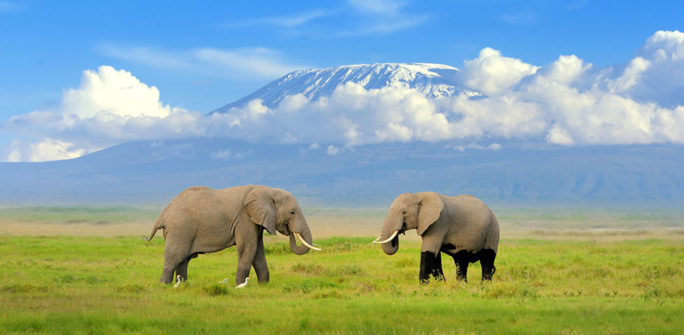 Kenya safari to amboseli