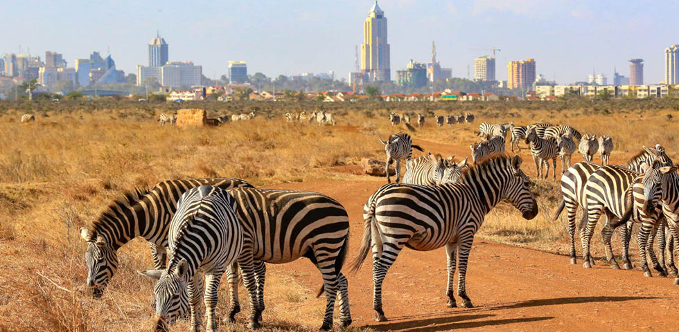 Nairobi National Park Nairobi National Park