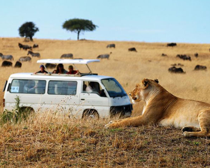 3 Dae Kenya Wildlife Safari To Great Masai Mara Game Reserve 3 Dae Kenya Wildlife Safari To Great Masai Mara Game Reserve