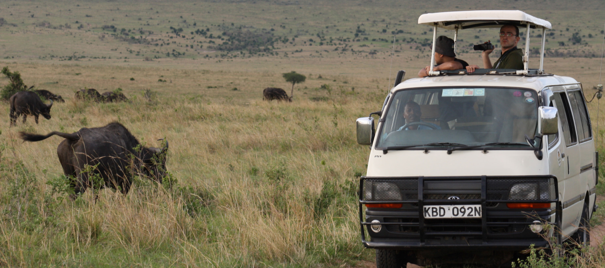 Kenya budget safari - Kenya wildlife safari