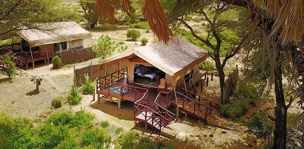 5 Day Magical Kenya Safari Trip - Absolute Holiday Safaris Magical Kenya Safari Trip