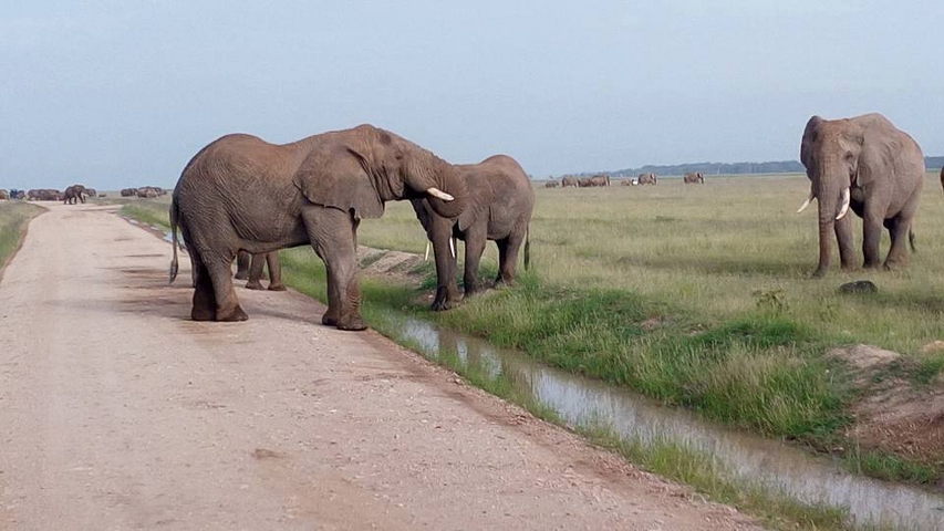 Kenya Adventure Safari