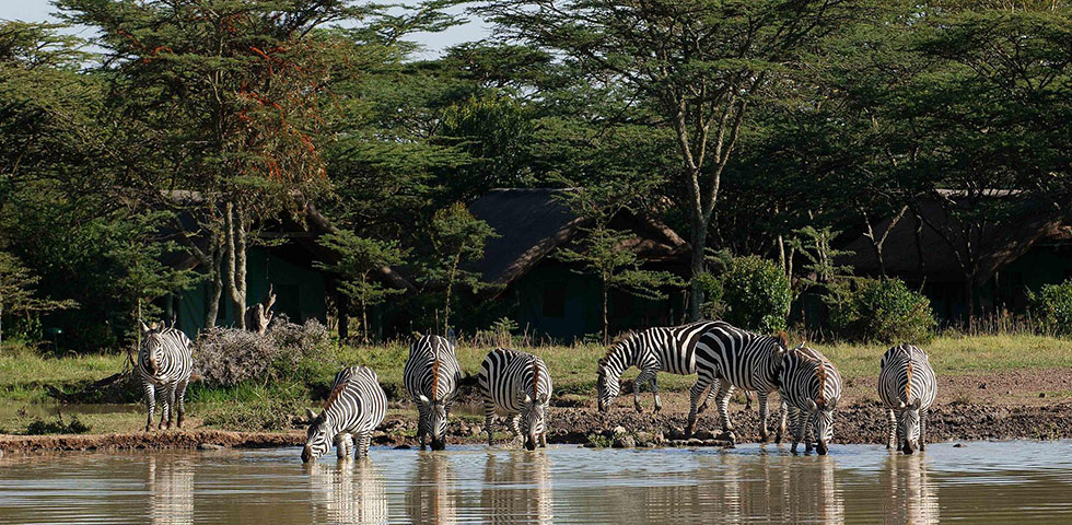 Magical Kenya Lodge Safari