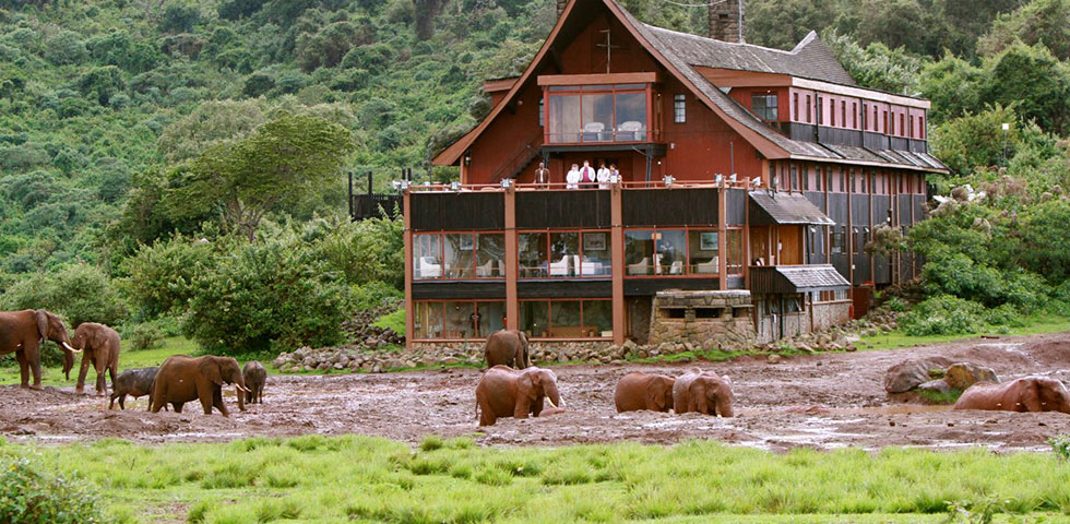 6 Days Kenya Luxury Safari Holiday - Absolute Holiday Safaris Kenya Luxury Safari Holiday