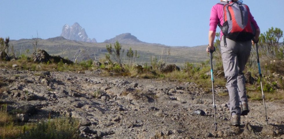 Mount Kenya Hiking Adventure