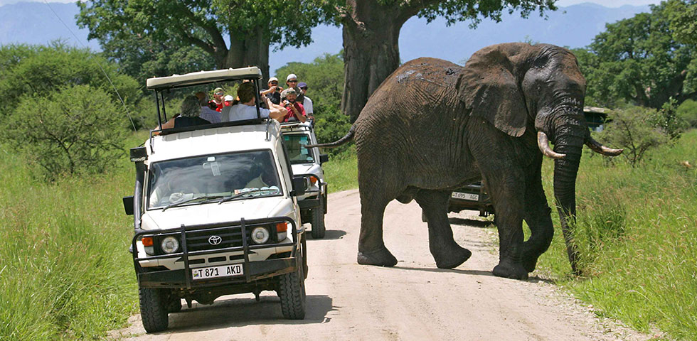 cost african safari vacation packages cost african safari vacation packages