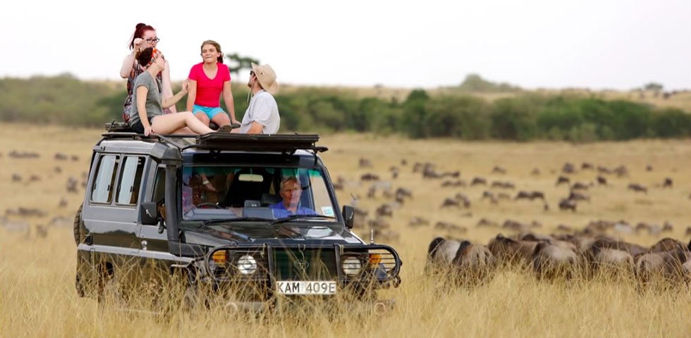 Kenya and Tanzania Budget Safari Tour - Absolute Holiday Safaris Kenya and Tanzania budget safari tour Tanzania Safari Tours/ Africa Budget Safari / Tanzania Budget Safari / African Safari Holiday