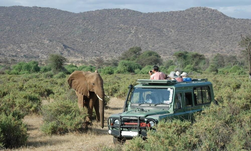 Wild Kenya Adventure Safari