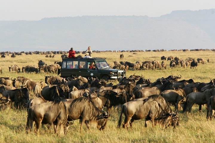 4 Days Mesmerizing Wildebeest Migration Safari Adventure Wildebeest Migration Safari