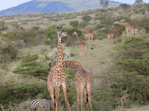 Adventure Kenya And Tanzania - Absolute Holiday Safaris Adventure Kenya and Tanzania