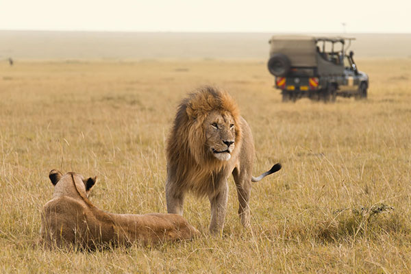 Combined Kenya and Tanzania safaris