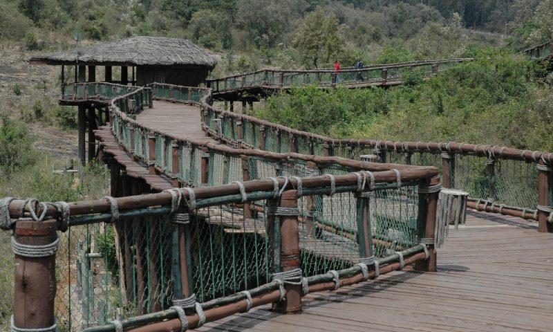 Visiting Kenya Enjoy 3 Great Destinations - Absolute Holiday Safaris_800x531 Visiting Kenya