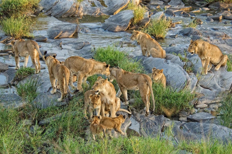 Best Kenya Budget Safari