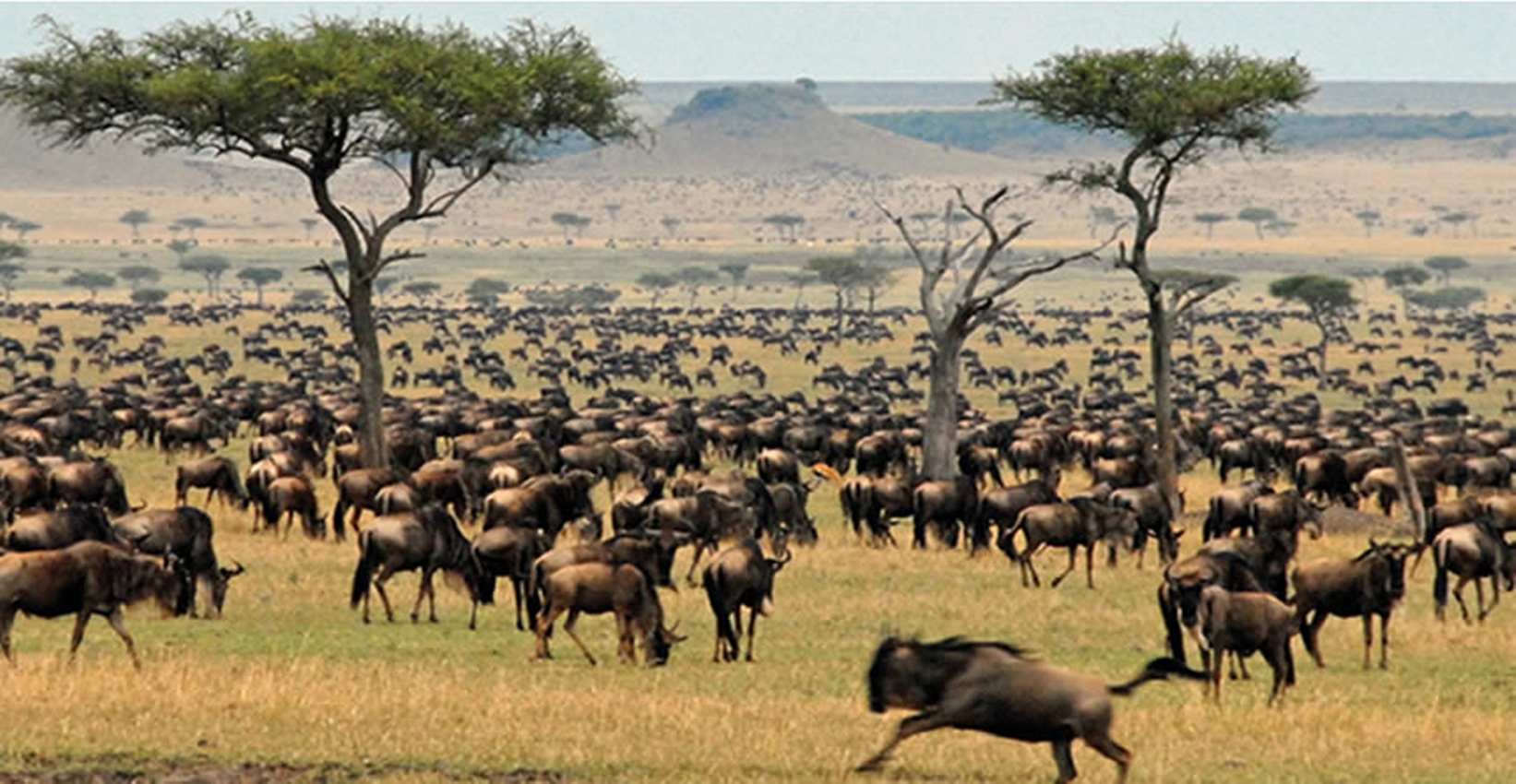 Kenya Lodge Safari Group Joining