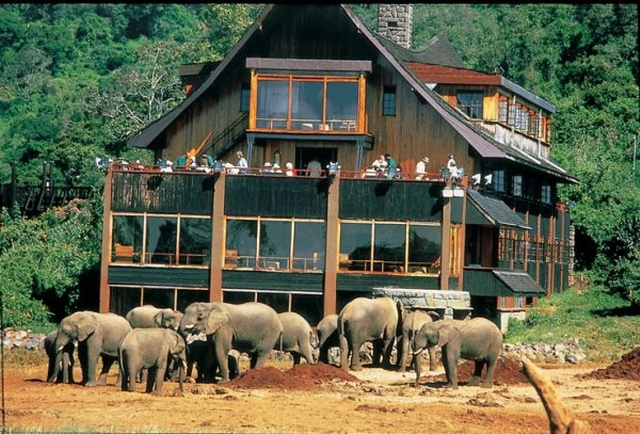 Kenya Luxury Safari Holiday