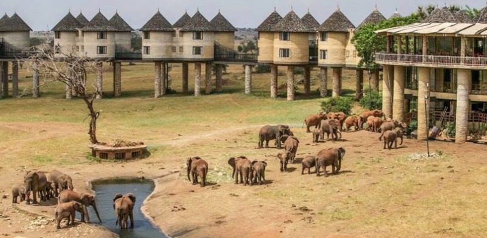 Kenya Safari Tour Package Kenya Safari Tour Package