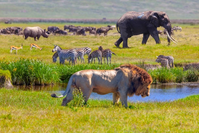 Kenya Tanzania Tour Package