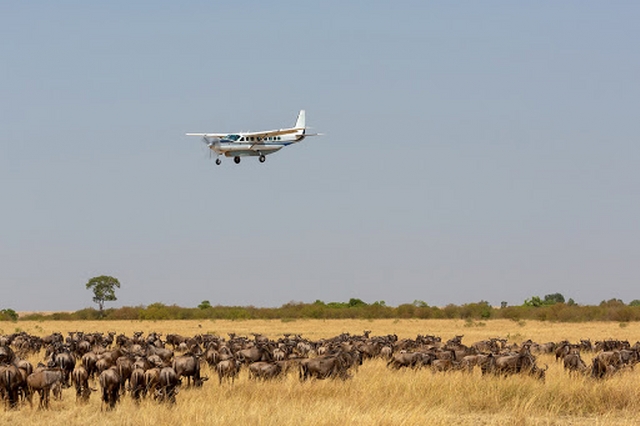 Luxury Kenya Safari Holiday