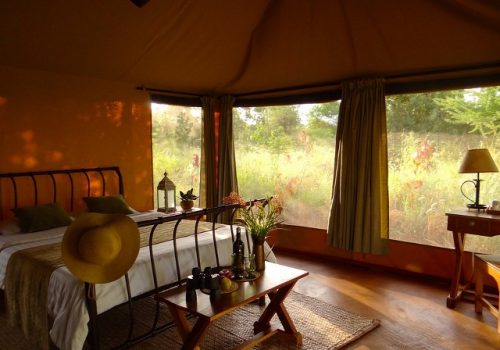 Meru National Park Safari_Absolute Holiday Safaris Meru National Park Safari