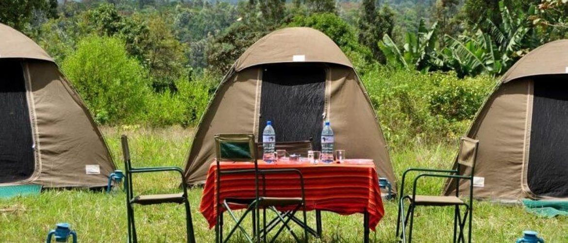 Tanzania Budget Safari_Absolute Holiday Safaris Best Tanzania Budget Safari