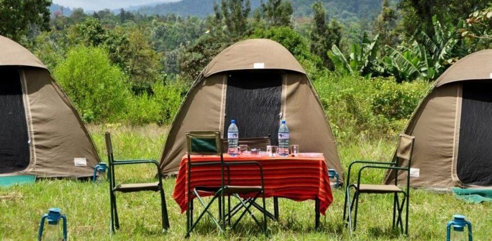 Tanzania Budget Safari_Absolute Holiday Safaris Best Tanzania Budget Safari