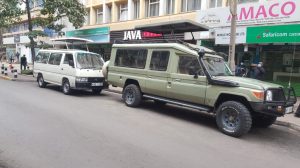 AFRICAN SAFARI AND COVID19