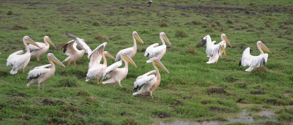 Affordable Tour Package Affordable Tour Package