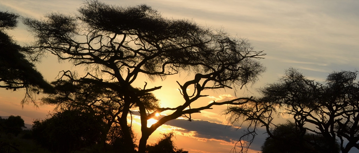 Economic Adventure safaris Economic Adventure Safaris
