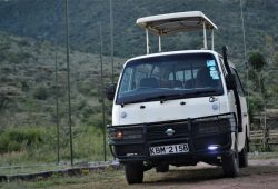 Kenya Safari Holiday Tours Kenya Safari Holiday Tours