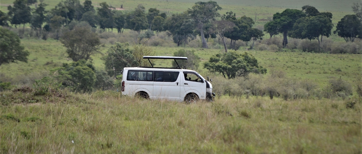 Masai Mara Wildlife Safari