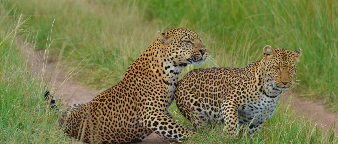 Incredible Tanzania Safari