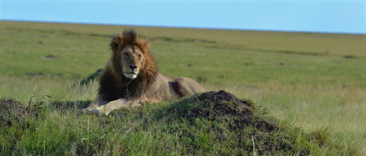 Magical Kenya Safari Package