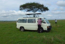 Kenya Budget Holiday Safaris
