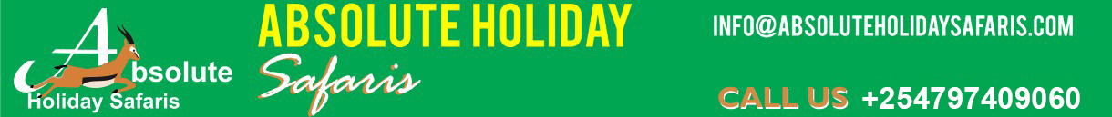 logo_001